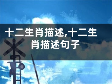十二生肖描述,十二生肖描述句子