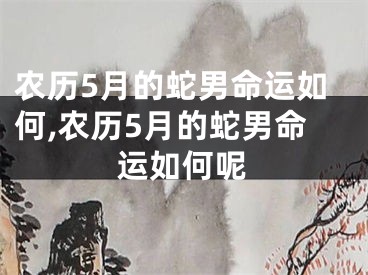 农历5月的蛇男命运如何,农历5月的蛇男命运如何呢