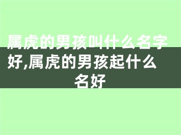 属虎的男孩叫什么名字好,属虎的男孩起什么名好