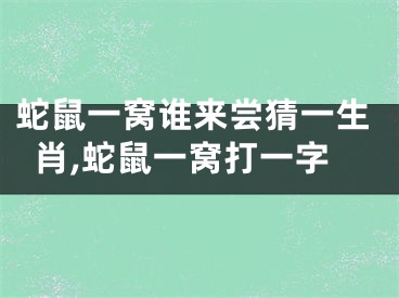 蛇鼠一窝谁来尝猜一生肖,蛇鼠一窝打一字