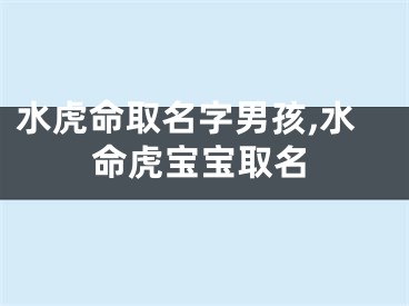 水虎命取名字男孩,水命虎宝宝取名