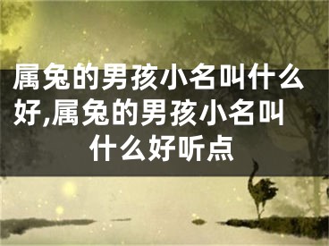 属兔的男孩小名叫什么好,属兔的男孩小名叫什么好听点