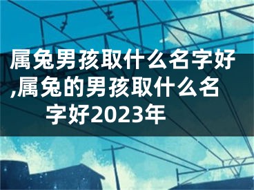 属兔男孩取什么名字好,属兔的男孩取什么名字好2023年