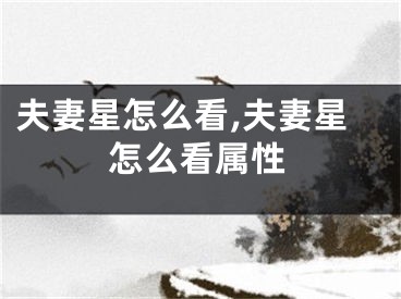 夫妻星怎么看,夫妻星怎么看属性