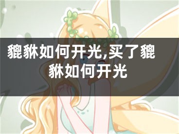貔貅如何开光,买了貔貅如何开光