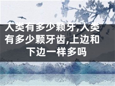 人类有多少颗牙,人类有多少颗牙齿,上边和下边一样多吗