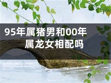 95年属猪男和00年属龙女相配吗