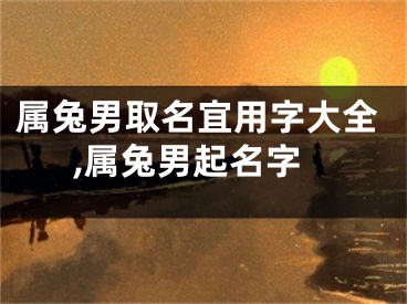 属兔男取名宜用字大全,属兔男起名字