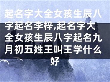 起名字大全女孩生辰八字起名李梓,起名字大全女孩生辰八字起名九月初五姓王叫王学什么好