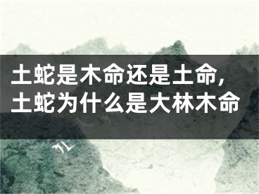 土蛇是木命还是土命,土蛇为什么是大林木命