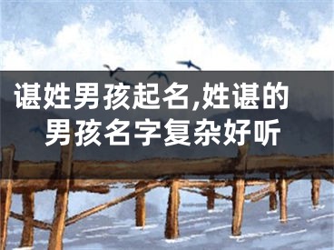 谌姓男孩起名,姓谌的男孩名字复杂好听