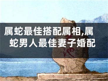 属蛇最佳搭配属相,属蛇男人最佳妻子婚配