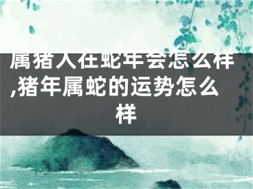 属猪人在蛇年会怎么样,猪年属蛇的运势怎么样
