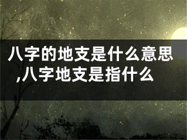 八字的地支是什么意思,八字地支是指什么