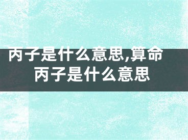 丙子是什么意思,算命丙子是什么意思