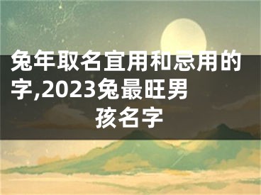 兔年取名宜用和忌用的字,2023兔最旺男孩名字