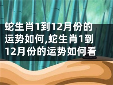 蛇生肖1到12月份的运势如何,蛇生肖1到12月份的运势如何看