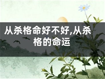 从杀格命好不好,从杀格的命运