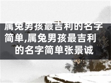 属兔男孩最吉利的名字简单,属兔男孩最吉利的名字简单张景诚