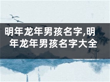 明年龙年男孩名字,明年龙年男孩名字大全