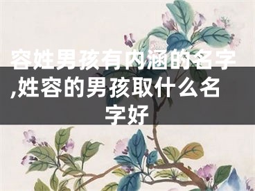 容姓男孩有内涵的名字,姓容的男孩取什么名字好