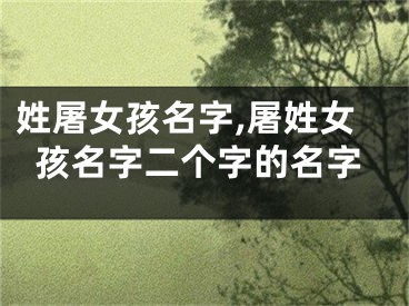 姓屠女孩名字,屠姓女孩名字二个字的名字