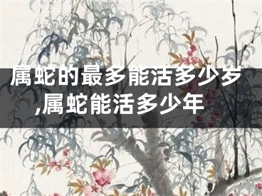 属蛇的最多能活多少岁,属蛇能活多少年