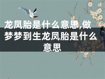 龙凤胎是什么意思,做梦梦到生龙凤胎是什么意思