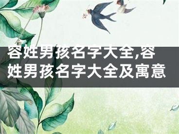 容姓男孩名字大全,容姓男孩名字大全及寓意