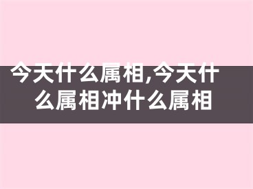 今天什么属相,今天什么属相冲什么属相