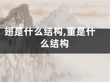 翅是什么结构,重是什么结构