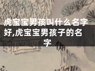 虎宝宝男孩叫什么名字好,虎宝宝男孩子的名字