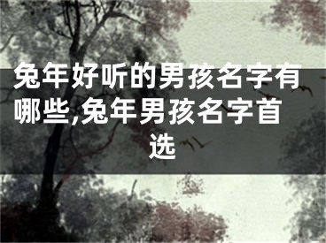 兔年好听的男孩名字有哪些,兔年男孩名字首选
