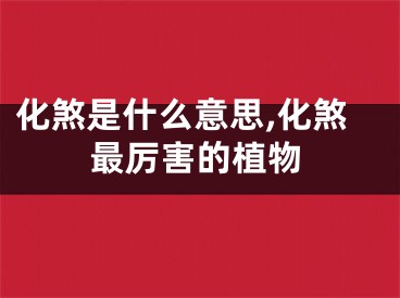 化煞是什么意思,化煞最厉害的植物