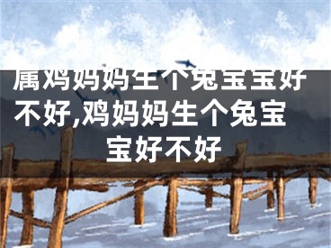 属鸡妈妈生个兔宝宝好不好,鸡妈妈生个兔宝宝好不好