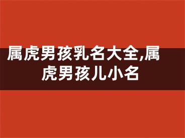 属虎男孩乳名大全,属虎男孩儿小名