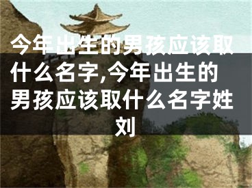 今年出生的男孩应该取什么名字,今年出生的男孩应该取什么名字姓刘