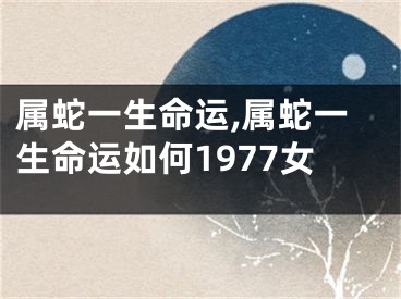 属蛇一生命运,属蛇一生命运如何1977女