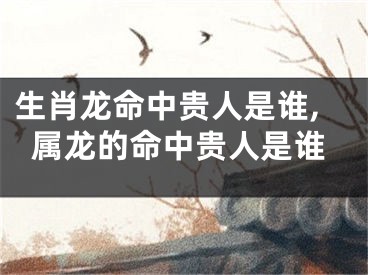 生肖龙命中贵人是谁,属龙的命中贵人是谁