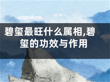 碧玺最旺什么属相,碧玺的功效与作用