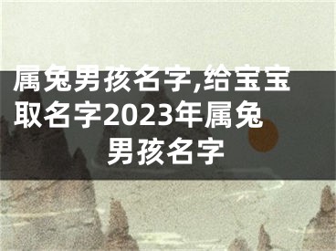 属兔男孩名字,给宝宝取名字2023年属兔男孩名字