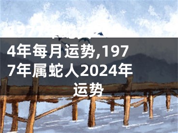 1977年蛇女2024年每月运势,1977年属蛇人2024年运势