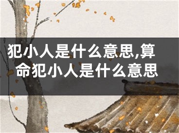犯小人是什么意思,算命犯小人是什么意思