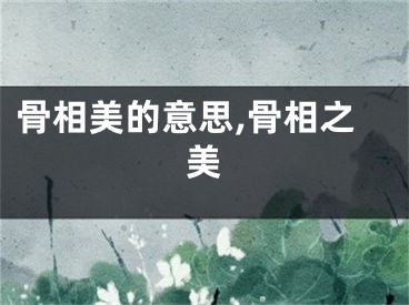 骨相美的意思,骨相之美