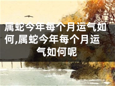 属蛇今年每个月运气如何,属蛇今年每个月运气如何呢