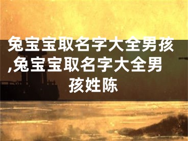 兔宝宝取名字大全男孩,兔宝宝取名字大全男孩姓陈