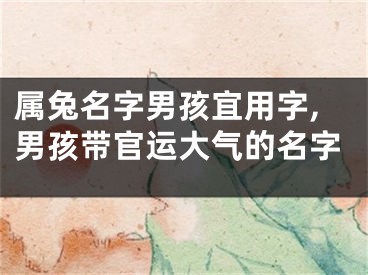 属兔名字男孩宜用字,男孩带官运大气的名字