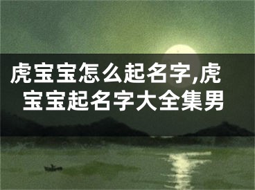 虎宝宝怎么起名字,虎宝宝起名字大全集男
