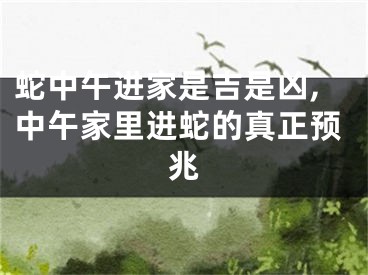 蛇中午进家是吉是凶,中午家里进蛇的真正预兆