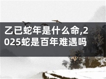 乙已蛇年是什么命,2025蛇是百年难遇吗